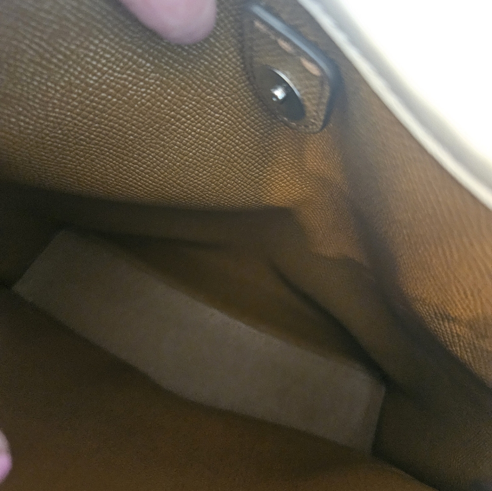 Coach Millie Floral Embroidered Straw Bag - Tan and White - Picture 5 of 9